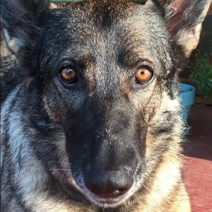 Meet your Posher, Rhonda